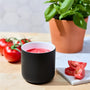 Tomato Leaf Candle Recipe