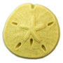 Sand Dollar Soap Mold (MW 166) - Zoom Thumbnail Media 1