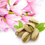 Pistachio & Magnolia Fragrance Oil 204 - Zoom Thumbnail Media 1