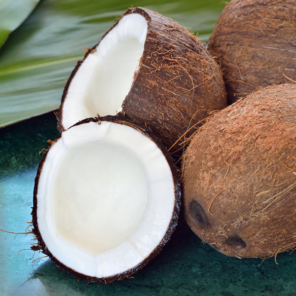 Cool Coconut Fragrance Oil 607 - Zoom Media 1
