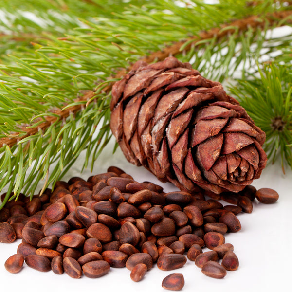Cedar Bean Fragrance Oil 746 - Zoom Media 1