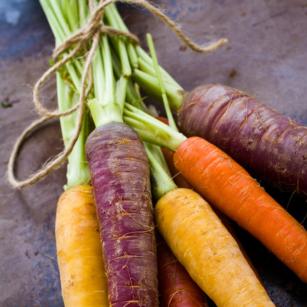 Purple Carrots Fragrance Oil - Zoom Media 1