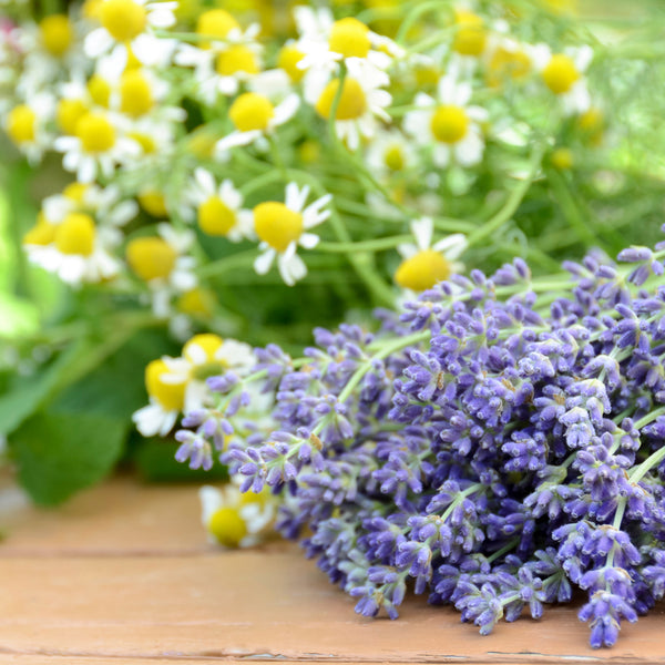 Lavender Chamomile Fragrance Oil 857 - Zoom Media 1