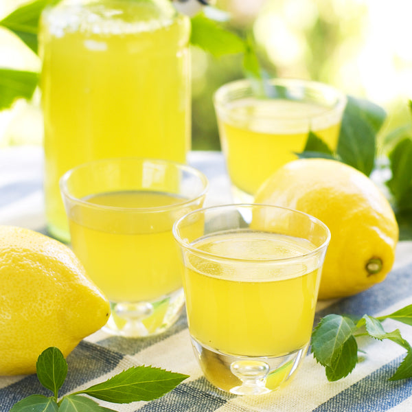 Sparkling Limoncello Fragrance Oil 853 - Zoom Media 1