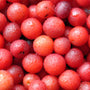 Hollyberry & Plum Fragrance Oil 871 - Zoom Thumbnail Media 1