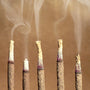 Nag Champa Fragrance Oil 304 - Zoom Thumbnail Media 1