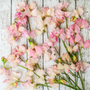 Sweet Pea Fragrance Oil 308 - Zoom Thumbnail Media 1