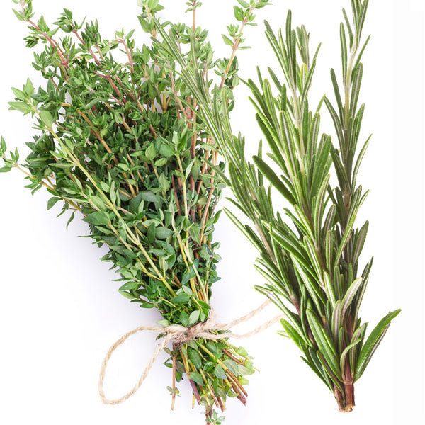 White Thyme & Rosemary Fragrance Oil 940 - Zoom Media 1