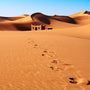 Sands of Morocco Essential Oil and Fragrance Blend 174 - Zoom Thumbnail Media 1