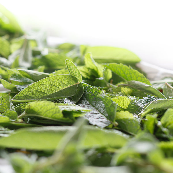 Lemongrass Sage Fragrance Oil 160 - Zoom Media 1