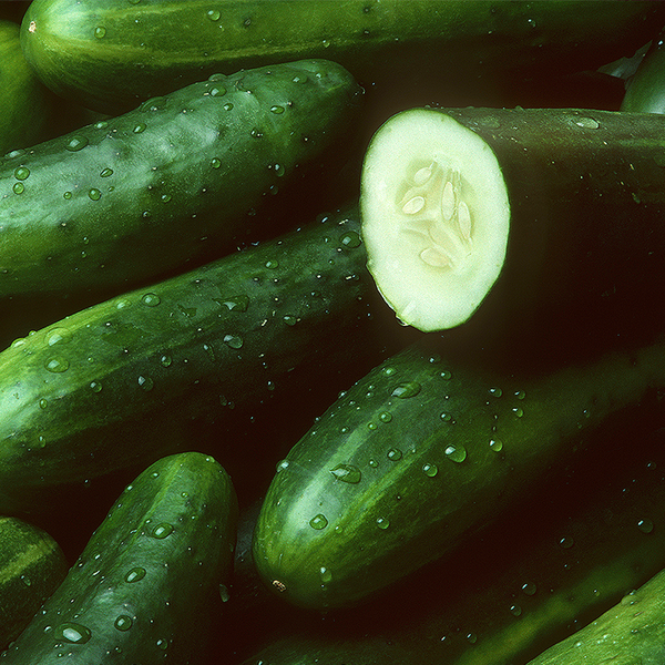 Cucumber Fragrance Oil - FF# 6 - 11853 - Zoom Media 1