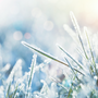 Frost Fragrance Oil - FF# 7 - Zoom Thumbnail Media 1