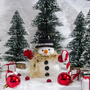 Snowman Poop Fragrance Oil - Zoom Thumbnail Media 1