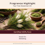 Tea Tree Essential Oil - close-up - Zoom Thumbnail Media 2