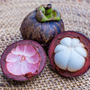 Mangosteen & Beautyberry Fragrance Oil - Zoom Thumbnail Media 1