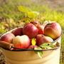 Autumn Prelude Fragrance Oil - Zoom Thumbnail Media 1