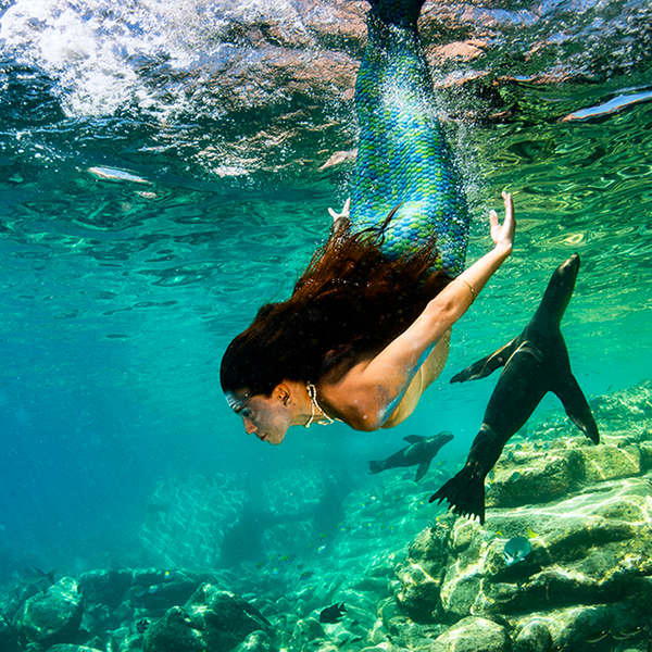 Salt Water Mermaid Fragrance Oil 791 - Zoom Media 1