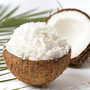 Coconut Natural Flavor Oil (Unsweetened) 1073 - Zoom Thumbnail Media 1