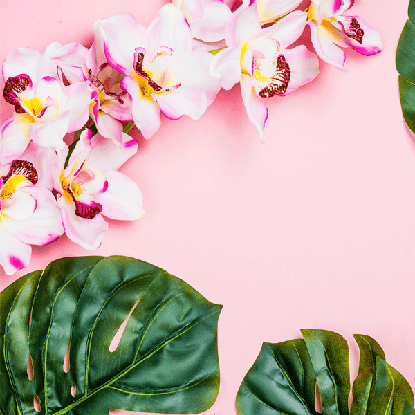 Aloha Orchid Fragrance Oil 1080 - Zoom Media 1