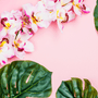 Aloha Orchid Fragrance Oil 1080 - Zoom Thumbnail Media 1
