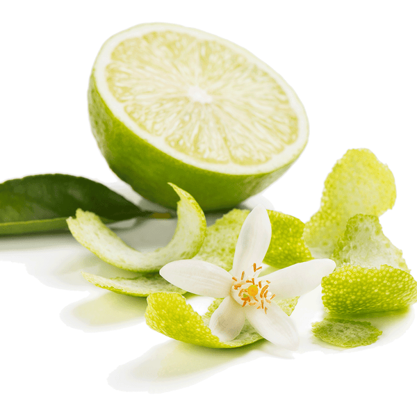 Lime Blossom & Jasmine - Natural Fragrance Oil 1096 - Zoom Media 1
