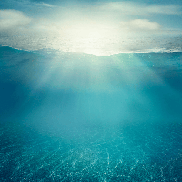 Turquoise Water - Natural Fragrance Oil 1101 - Zoom Media 1
