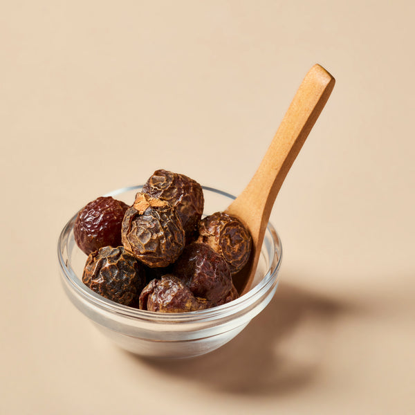 Soap Nuts - close-up - Zoom Media 2