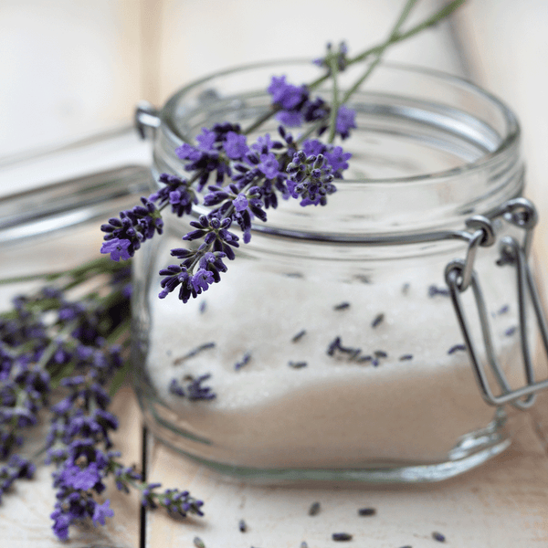 Lavender Vanilla Odor Neutralizing Natural Fragrance Oil - Zoom Media 1