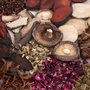 Rose Hips & Reishi Fragrance Oil - Zoom Thumbnail Media 1