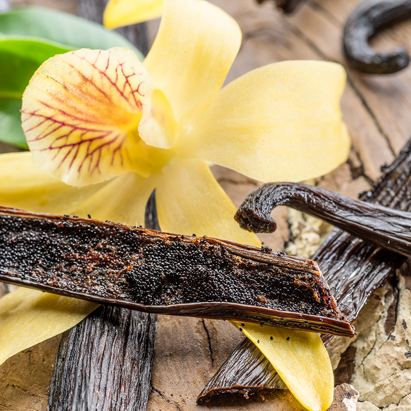 Vanilla Cedar - Natural Fragrance Oil 1185 - Zoom Media 1