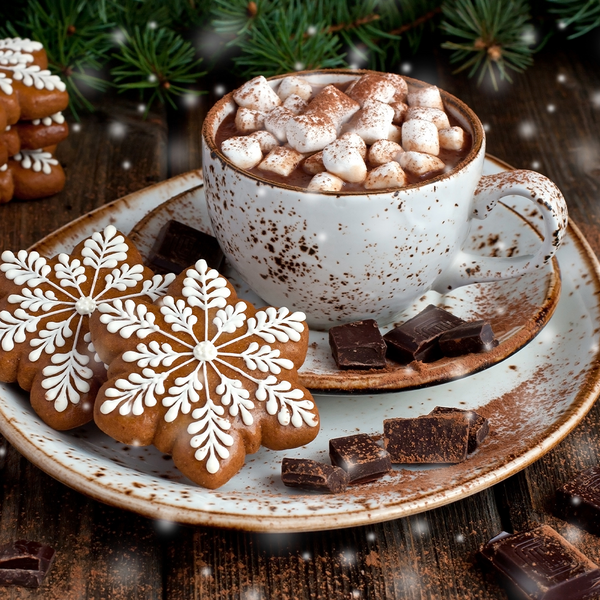 Holiday Morning Cocoa - Natural Fragrance Oil 1203 - Zoom Media 1