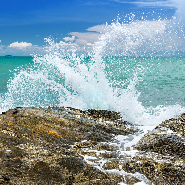 Ocean Mist & Sea Salt - Natural Fragrance Oil 1227 - Zoom Media 1