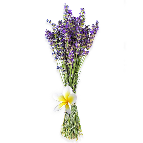 Lavender & Plumeria - Natural Fragrance Oil - Zoom Media 1