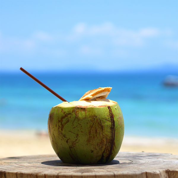 Sunkissed Coconut - Natural Fragrance Oil 1234 - Zoom Media 1