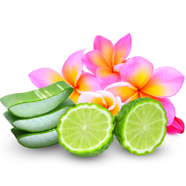 Bergamot Aloe Fragrance Oil 470 - Zoom Media 1