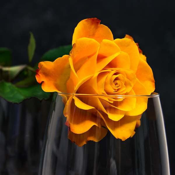 Rose & Musk Fragrance Oil 961 - Zoom Media 1