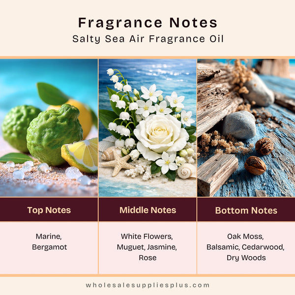 Salty Sea Air Fragrance Oil 20279 - close-up - Zoom Media 2