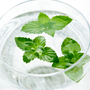 Mint Fragrance Oil Water Soluble - Zoom Thumbnail Media 1