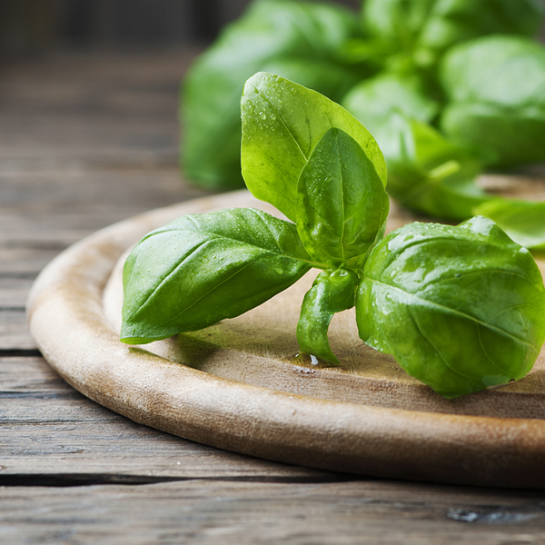 Basil Essential Oil - 100% Pure 1048 - Zoom Media 1