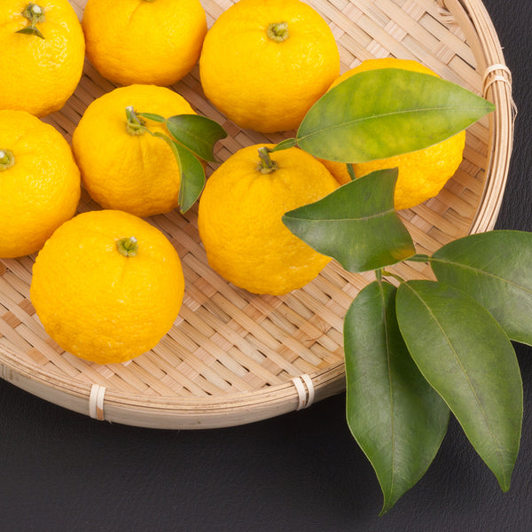 Yuzu ORIGINAL Essential Oil and Fragrance Blend 537 - Zoom Media 1