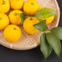 Yuzu ORIGINAL Essential Oil and Fragrance Blend 537 - Zoom Thumbnail Media 1