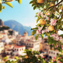 Capri Fragrance Oil - Zoom Thumbnail Media 3