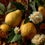 Golden Orchard Fragrance Oil - Zoom Thumbnail Media 3