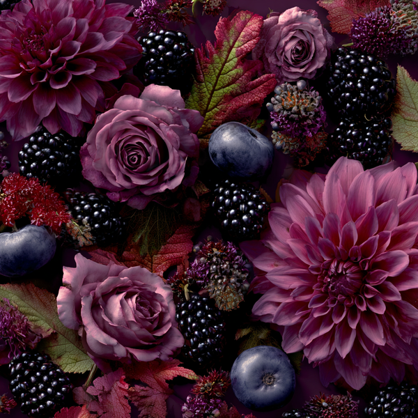 Blackberry Dahlia Fragrance Oil - Zoom Media 3