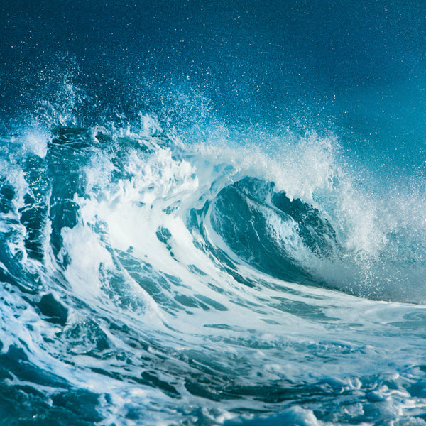 Ocean Water Fragrance Oil 439 - Zoom Media 1