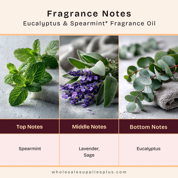 Eucalyptus & Spearmint* Fragrance Oil 101 - Zoom Media 2