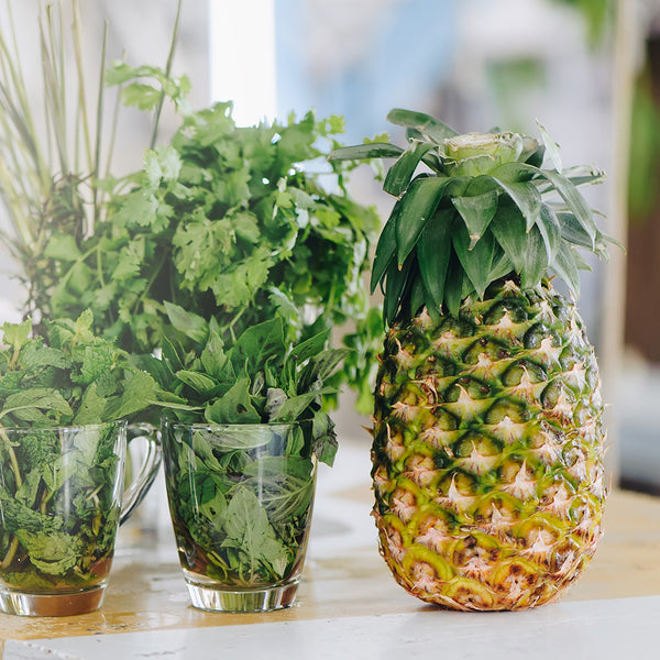 Pineapple Cilantro Fragrance Oil 788 - Zoom Media 1