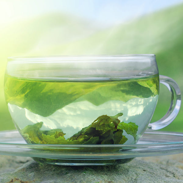 Green Tea & Cucumber - EO & FO Blend 466 - Zoom Media 1