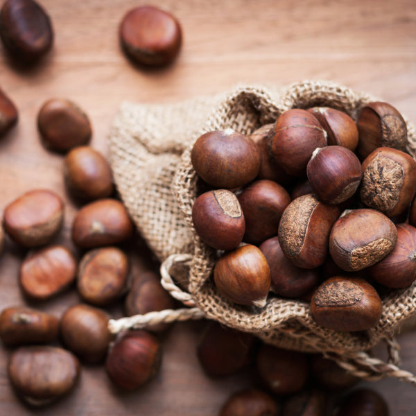 Chestnuts & Brown Sugar Fragrance Oil 402 - Zoom Media 1