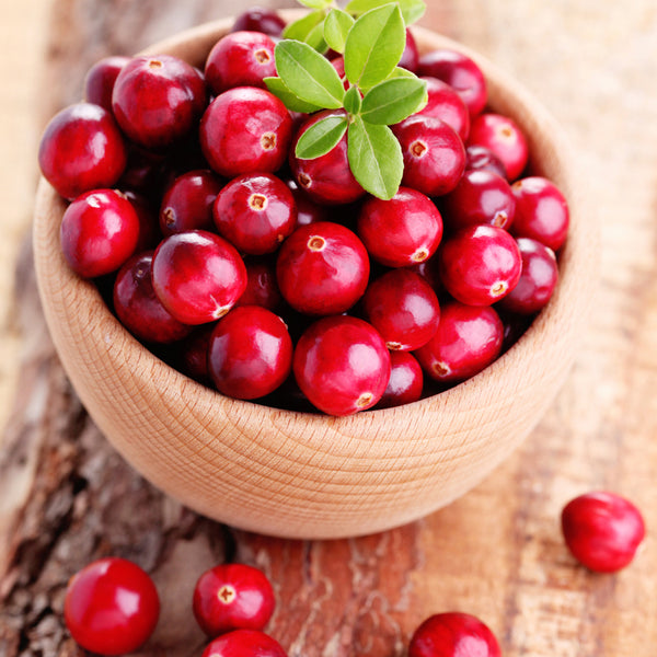 Cranberry Fragrance Oil 282 - Zoom Media 1